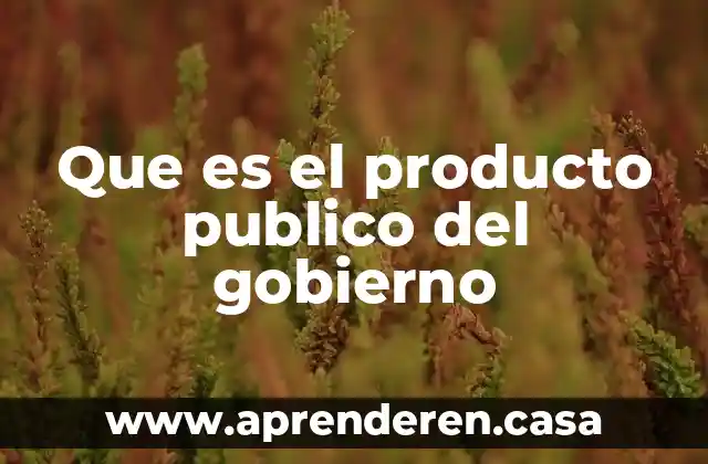 Que es el producto publico del gobierno