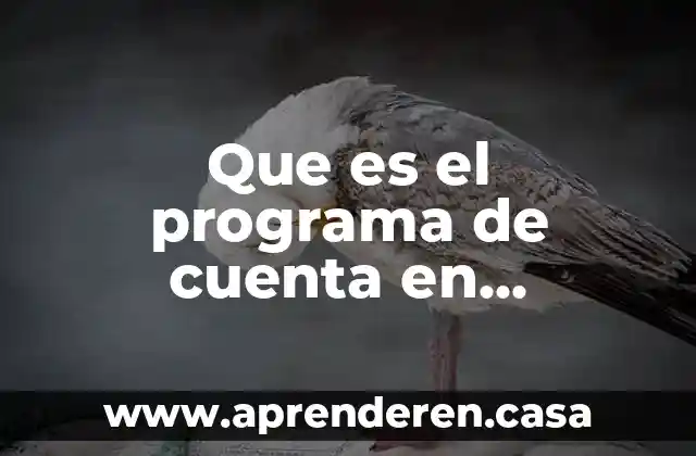 ¿Qué es PVM en informática? 6 Que es el programa de cuenta en informatica
