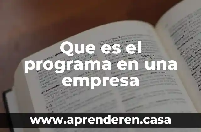 Que es el programa en una empresa