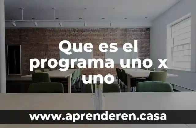 Que es el programa uno x uno