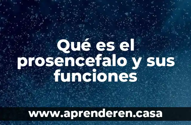 Que es un procedimiento y sus funciones 4 Qué es el prosencefalo y sus funciones