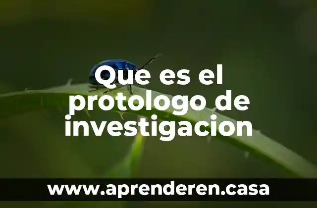 Que es el protologo de investigacion