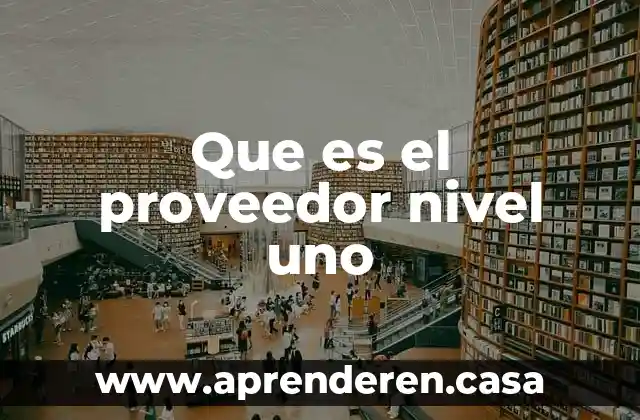 Que es el proveedor nivel uno