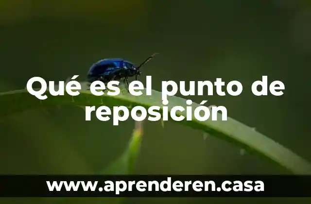 Que es intersubjetividad del punto sociologico 6 Qué es el punto de reposición