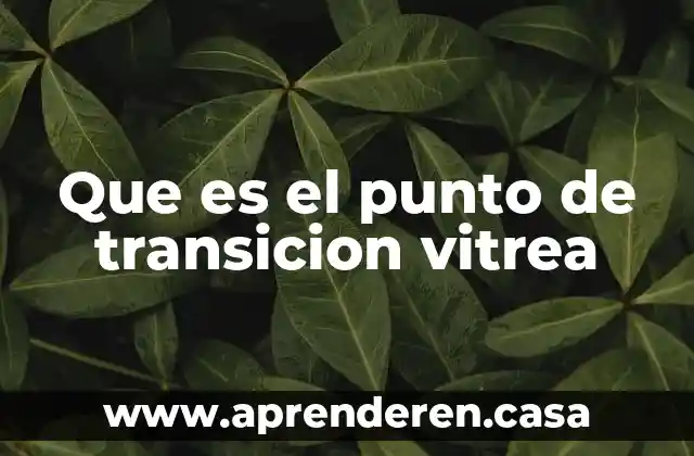Que es el punto de transicion vitrea