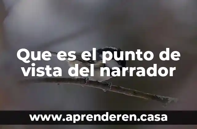 Que es intersubjetividad del punto sociologico 5 Que es el punto de vista del narrador
