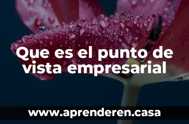 Que es el punto de vista empresarial