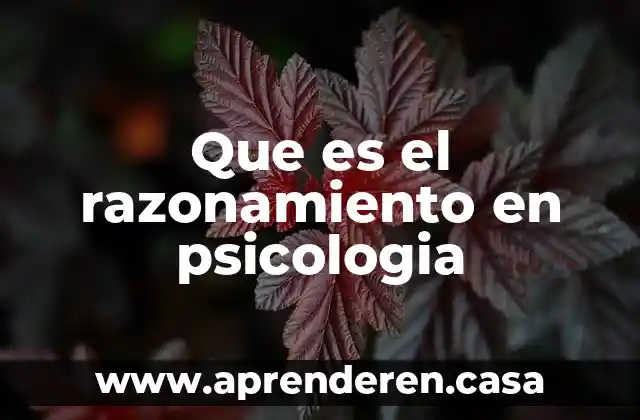 Que es el razonamiento en psicologia