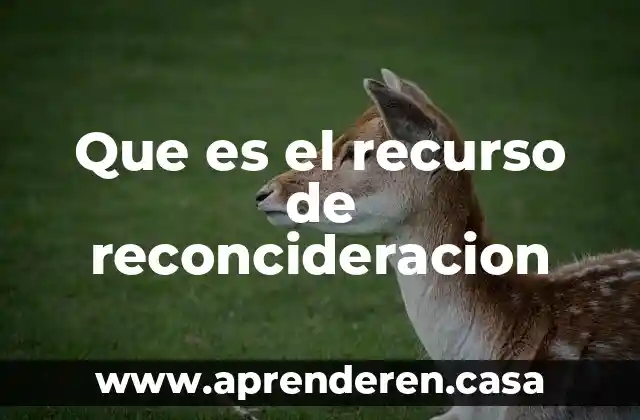 Que es un recurso humano capacitado 8 Que es el recurso de reconcideracion
