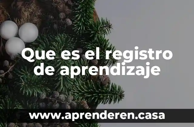 Que es el registro de aprendizaje
