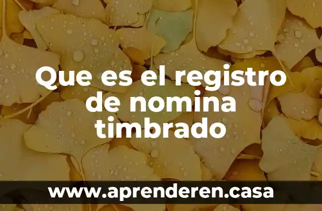 Que es registro previo 3 Que es el registro de nomina timbrado