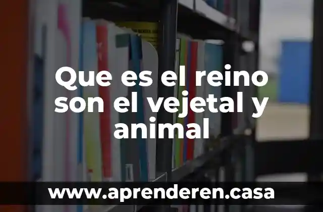 Que es el reino ciencia 5 Que es el reino son el vejetal y animal