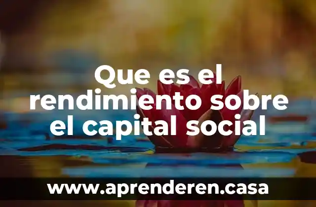 Que es rendimiento industrial 3 Que es el rendimiento sobre el capital social