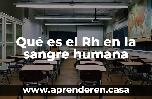 Qué es el Rh en la sangre humana