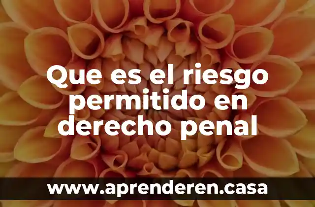 Derecho procesal penal 4 Que es el riesgo permitido en derecho penal