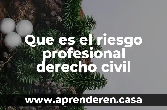 Que es el riesgo profesional derecho civil