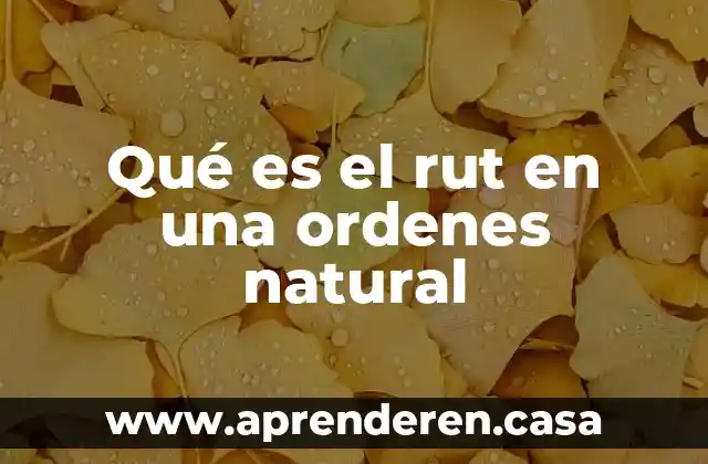 Qué es el rut en una ordenes natural
