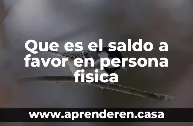 Que es la persona y sus atributos 8 Que es el saldo a favor en persona fisica