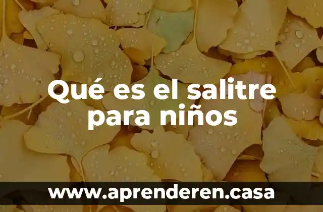 Qué es el salitre para niños