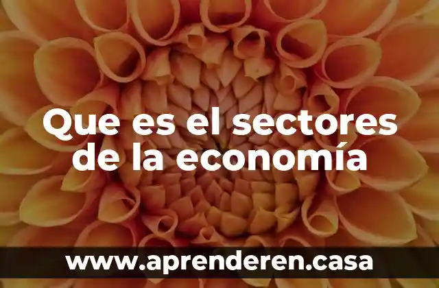 Que es una grafica de sectores y como se realiza 6 Que es el sectores de la economía