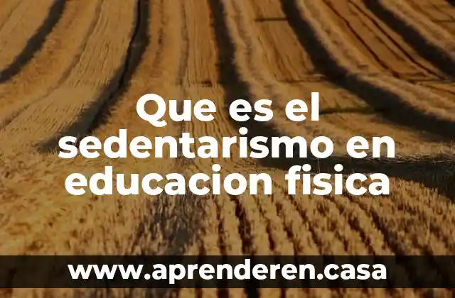 Que es el sedentarismo en educacion fisica