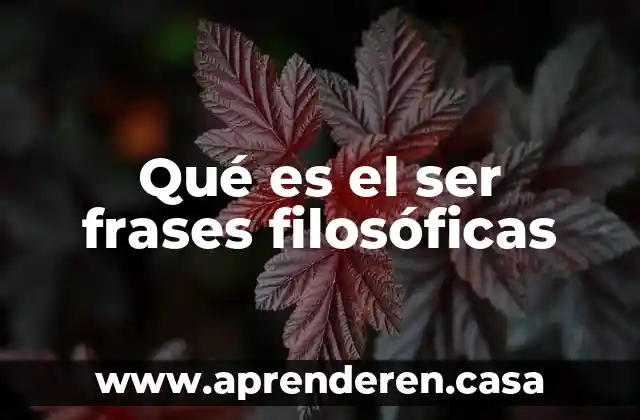 Qué es el ser frases filosóficas