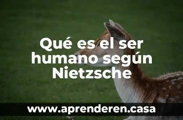 Qué es el ser humano según Nietzsche