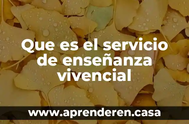 Que es el servicio de enseñanza vivencial