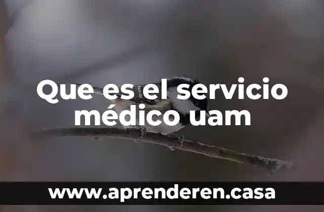 Que es el servicio médico uam
