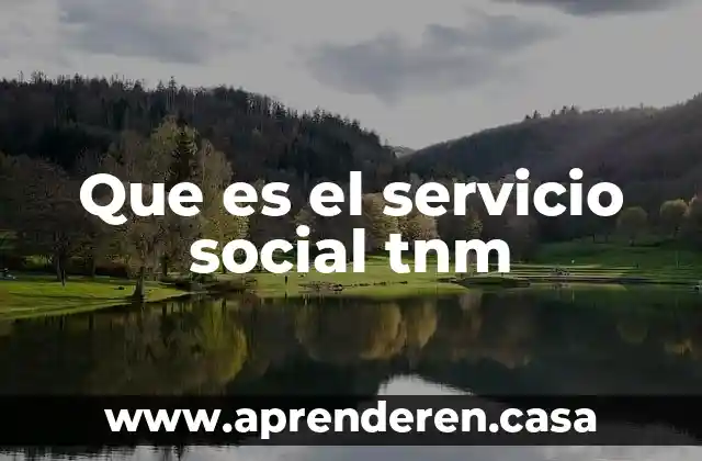 Que es el servicio social tnm