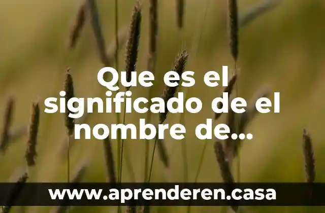 Que es el significado de el nombre de francisco