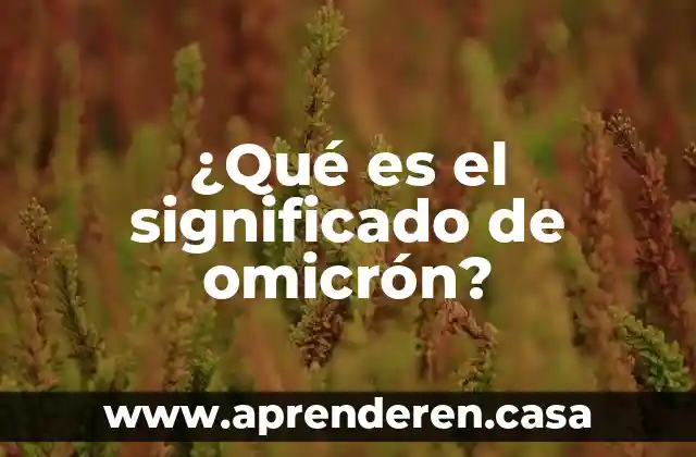 ¿Qué es el significado de omicrón?