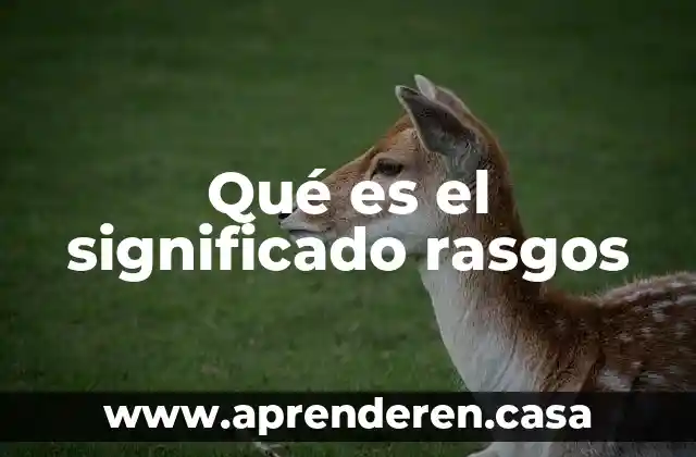 Qué es el significado rasgos
