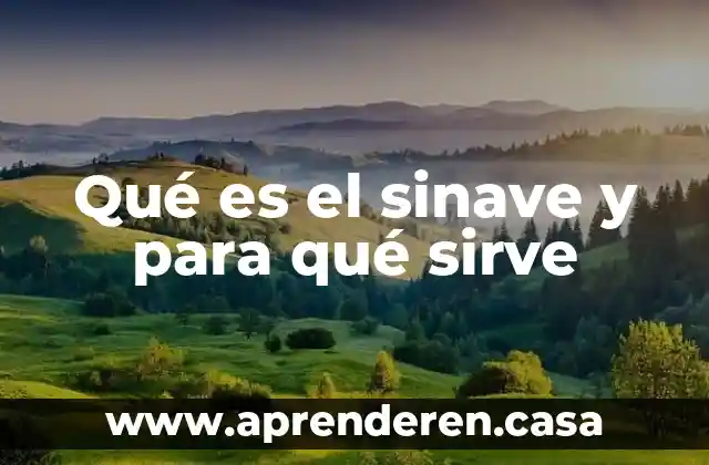 Qué es el sinave y para qué sirve