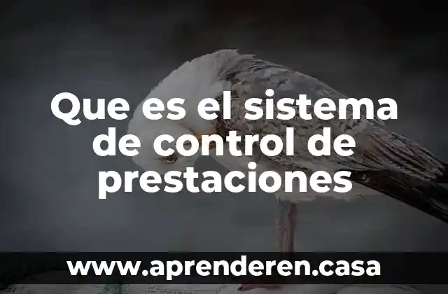 Que es el sistema de control de prestaciones