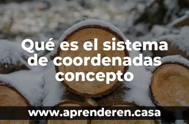 Qué es el sistema de coordenadas concepto