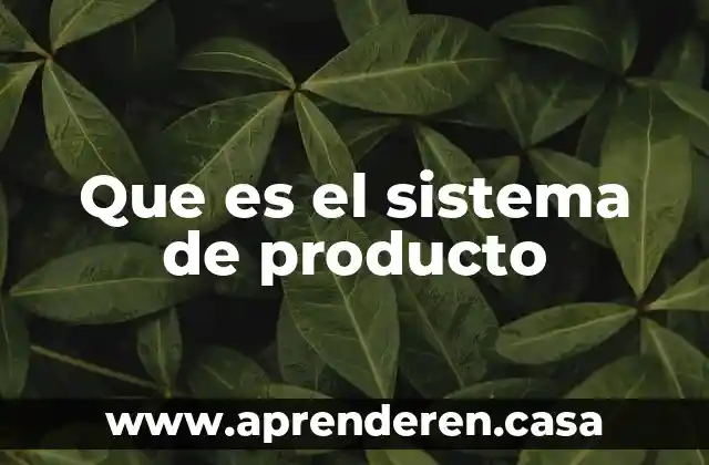 Que es el sistema de producto