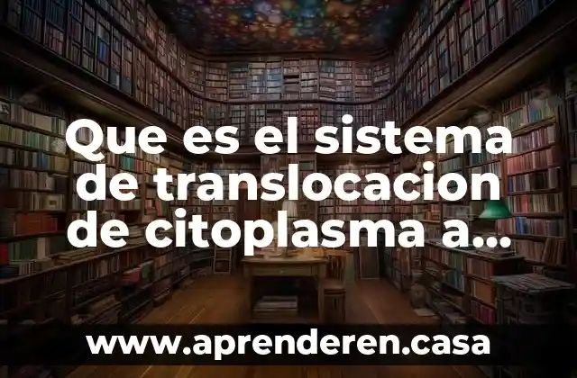 Que es el sistema de translocacion de citoplasma a mitocondria