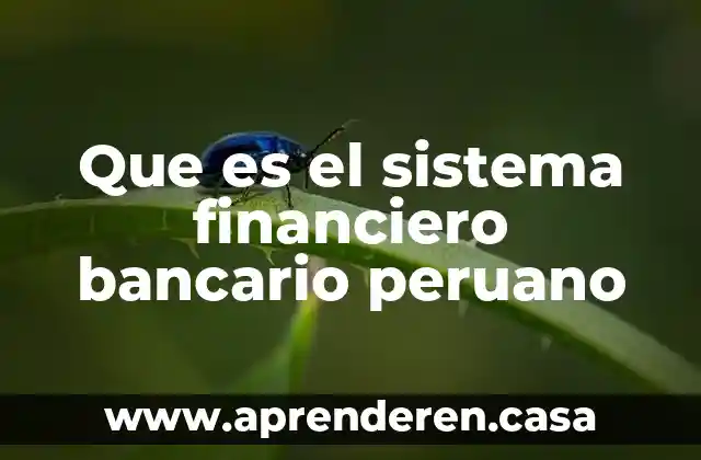 Qué es el sistema M1 en la XDMX 6 Que es el sistema financiero bancario peruano
