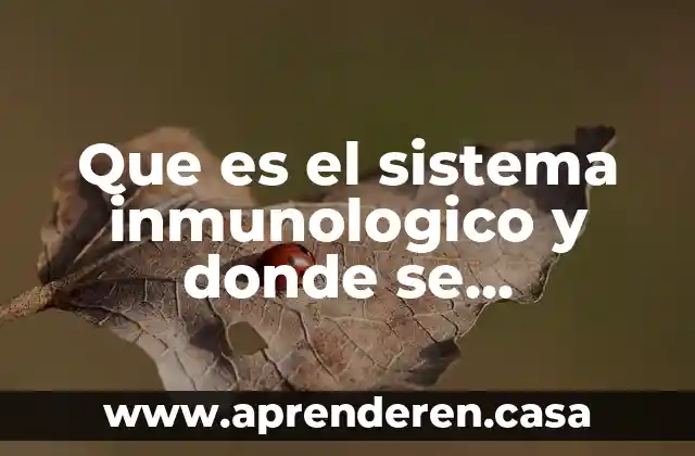 Que es miscibilidad en un sistema de refrigeracion 7 Que es el sistema inmunologico y donde se encuentra