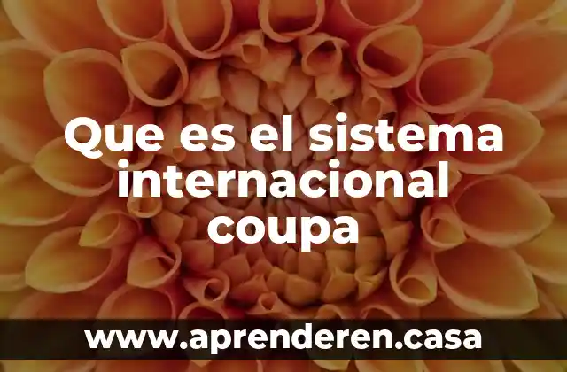La red internacional del narcotráfico que es 3 Que es el sistema internacional coupa