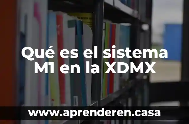 Que es un sistema de vistas arquitectonicas 8 Qué es el sistema M1 en la XDMX