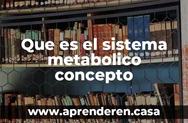 Que es el sistema metabolico concepto