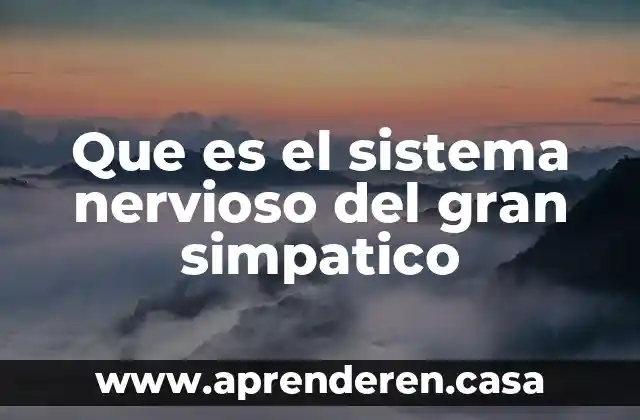 Que es el sistema nervioso del gran simpatico