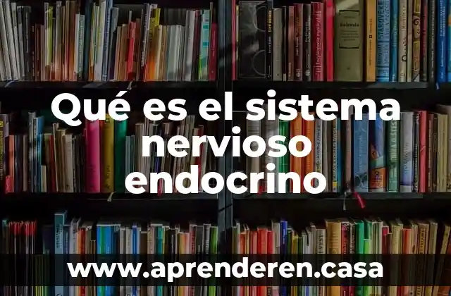 Qué es el sistema nervioso endocrino