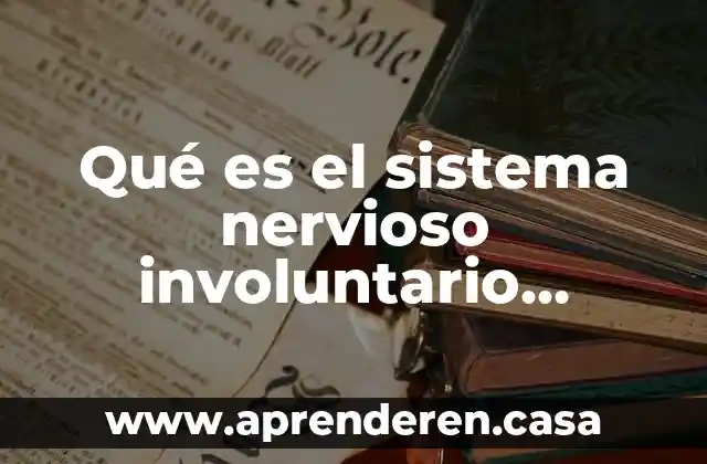 Qué es el sistema nervioso involuntario funcion