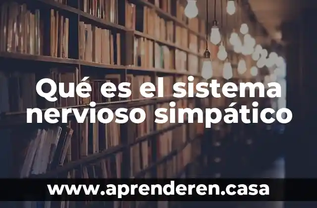 Qué es el sistema nervioso simpático