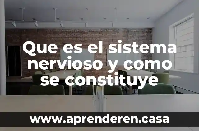 Que es el sistema nervioso y como se constituye