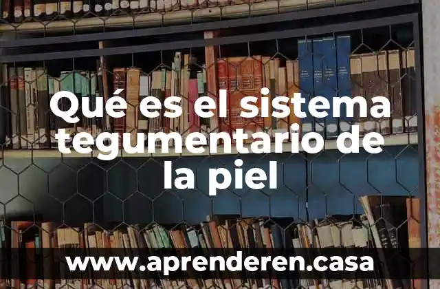 Qué es el sistema tegumentario de la piel