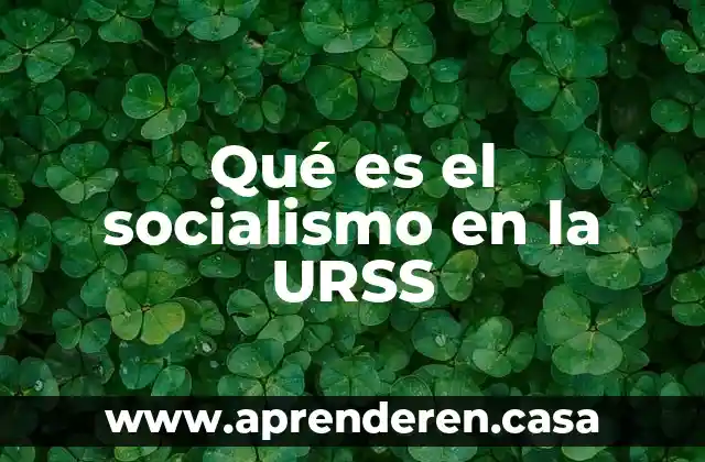 Qué es el socialismo en la URSS
